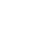 Icon17